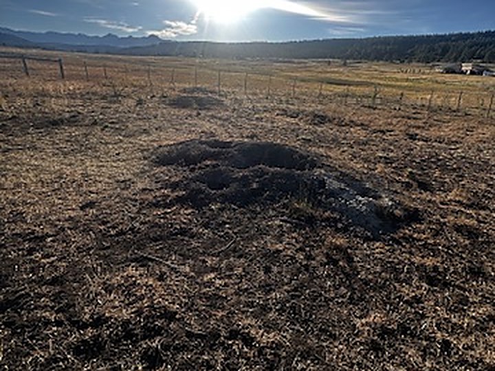 Prairie dog mound in a dry hay field with the San Juan Mountains behind it at sunrise