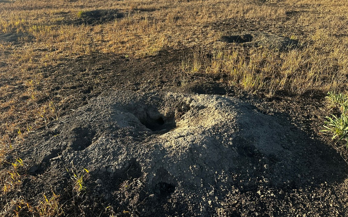 Rural property and open range in Southwest Colorado where prairie dog mitigation protects land and livestock