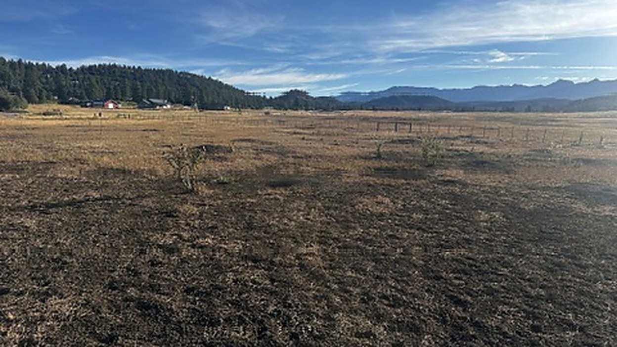 Pasture cleared of prairie dog activity near Pagosa Springs, Colorado, with the San Juan Mountains on the horizon